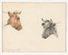 Study of two cow heads - Cornelis Steffelaar — artwork view