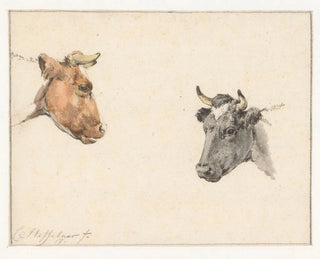 Study of two cow heads - Cornelis Steffelaar — artwork view