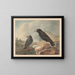 Two Starlings - Cornelis van Hardenbergh — framed artwork on a wall