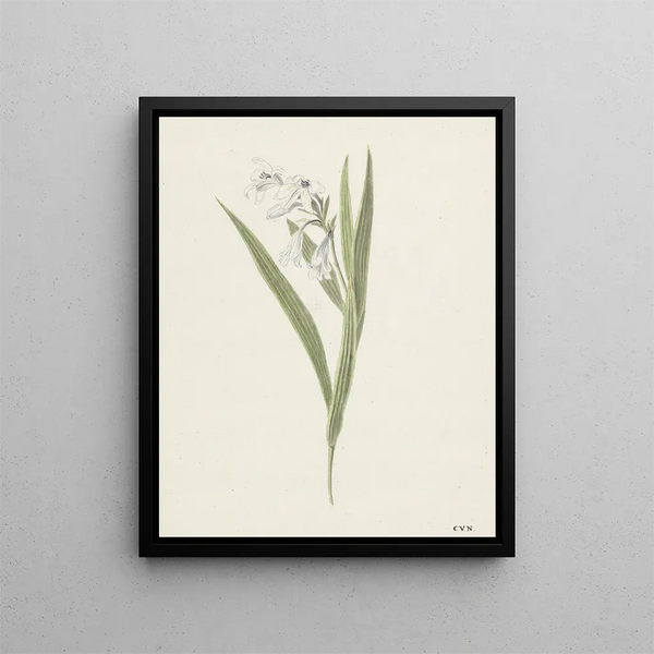 Fresia - Cornelis van Noorde — framed artwork on a wall