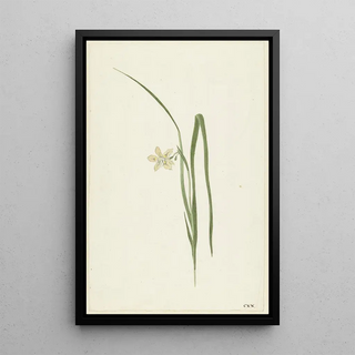 Iris Painting - Cornelis van Noorde — artwork view
