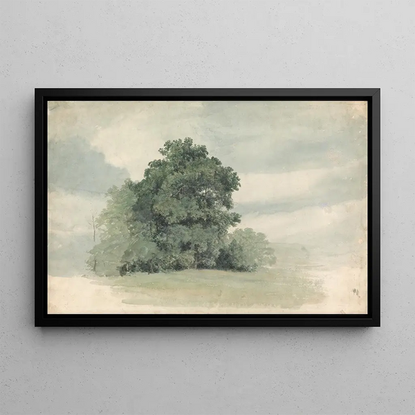 Study of trees at the edge of a field - Cornelius Varley — framed artwork on a wall