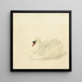 Cygne tuberculé - Aert Schouman — framed artwork on a wall