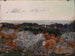 La baie de Morecambe depuis Warton Crag - Daniel Alexander Williamson — artwork view