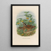 Reproduction of the painting A monograph of the Pittidae or family of anteaters Pl01 - Daniel Giraud Elliot