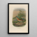 A monograph of the Pittidae or family of anteaters Pl09 - Daniel Giraud Elliot — framed artwork on a wall