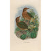 Reproduction of the painting A monograph of the Pittidae or family of anteaters Pl10 - Daniel Giraud Elliot