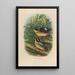 A monograph of the Pittidae or family of anteaters Pl18 - Daniel Giraud Elliot — framed artwork on a wall
