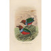A monograph of the Pittidae or family of anteaters Pl32 - Daniel Giraud Elliot — artwork view