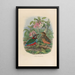 Reproduction of the painting A monograph of the Pittidae or family of anteaters Pl33 - Daniel Giraud Elliot