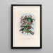 A monograph of the Pittiidae or family of anteaters Pl39 - Daniel Giraud Elliot — framed artwork on a wall