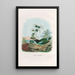 A monograph of the Pittiidae or family of anteaters Pl41 - Daniel Giraud Elliot — framed artwork on a wall