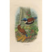 A monograph of the Pittidae or family of anteaters Pl46 - Daniel Giraud Elliot — artwork view