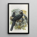 Anthracoceros malayanus - Daniel Giraud Elliot — framed artwork on a wall