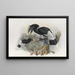 Bycanistes albotibialis - Daniel Giraud Elliot — framed artwork on a wall