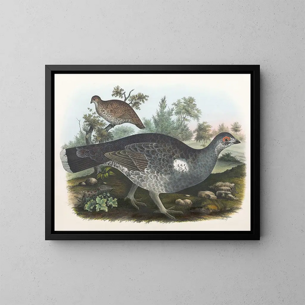 Golden-crowned Grouse - Daniel Giraud Elliot — framed artwork on a wall