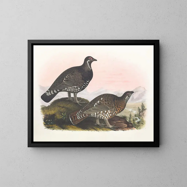 The Franklin Pheasant - Daniel Giraud Elliot — framed artwork on a wall