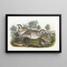 Gélinotte des bois - Daniel Giraud Elliot — framed artwork on a wall