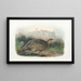 Gélinotte de Kunalee - Daniel Giraud Elliot — framed artwork on a wall