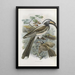 Reproduction of the painting Lophoceros nasutus - Daniel Giraud Elliot