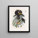 Parotia de six pence - Daniel Giraud Elliot — framed artwork on a wall