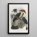 Reproduction of the painting Penelopides panini - Daniel Giraud Elliot