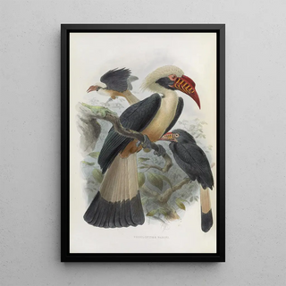 Reproduction of the painting Penelopides panini - Daniel Giraud Elliot