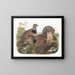 Les Sabines - Daniel Giraud Elliot — framed artwork on a wall