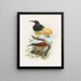 Seleucid Alba - Daniel Giraud Elliot — framed artwork on a wall