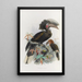 Reproduction of the painting Sphagolobus atratus - Daniel Giraud Elliot