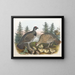 Canadian Grouse - Daniel Giraud Elliot — framed artwork on a wall