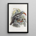 Tockus erythrorhynchus - Daniel Giraud Elliot — framed artwork on a wall