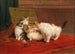 Cats - Daniel Merlin — artwork view