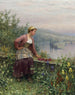 Breton girl overlooking a stream - Daniel Ridgway Knight — artwork view
