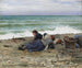High tide at Étretat - Daniel Ridgway Knight — artwork view