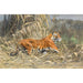 Reproduction of the painting In the Jungle (Tiger) - Wilhelm Kuhnert