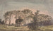 Landscape with Trees - David Charles Read — artwork view
