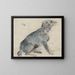 Study of a Dog - David Cox — framed artwork on a wall