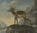 Bengal Deer Painting - David Kock — artwork view