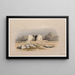 Temple of Tafa in Nubia November 16, 1838 - David Roberts — framed artwork on a wall