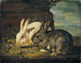 Two rabbits - David de Coninck — artwork view