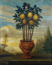Orange in a Urn - David von Cln — artwork view