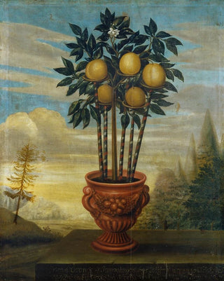 Orange in a Urn - David von Cln — artwork view