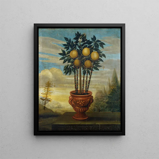 Orange in a Urn - David von Cln — framed artwork on a wall