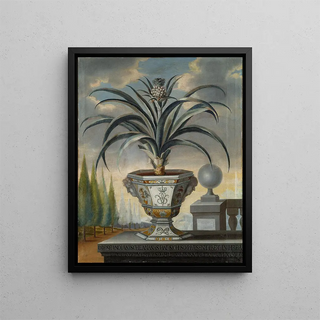 Pineapple Plant - David von Cln — framed artwork on a wall