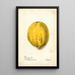 Reproduction of the painting Carica papaya - Deborah Griscom Passmore