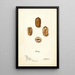 Carya illinoinensis Sovereign - Deborah Griscom Passmore — framed artwork on a wall