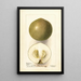 Casimiroa edulis Zapota Blanco - Deborah Griscom Passmore — framed artwork on a wall