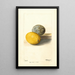 Citrus lemon - Deborah Griscom Passmore — framed artwork on a wall