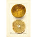 Citrus paradisi Scrubs - Deborah Griscom Passmore — artwork view